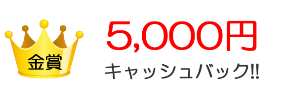 条件1　免許取得まで35時限以内　条件2　期間1ヶ月以内